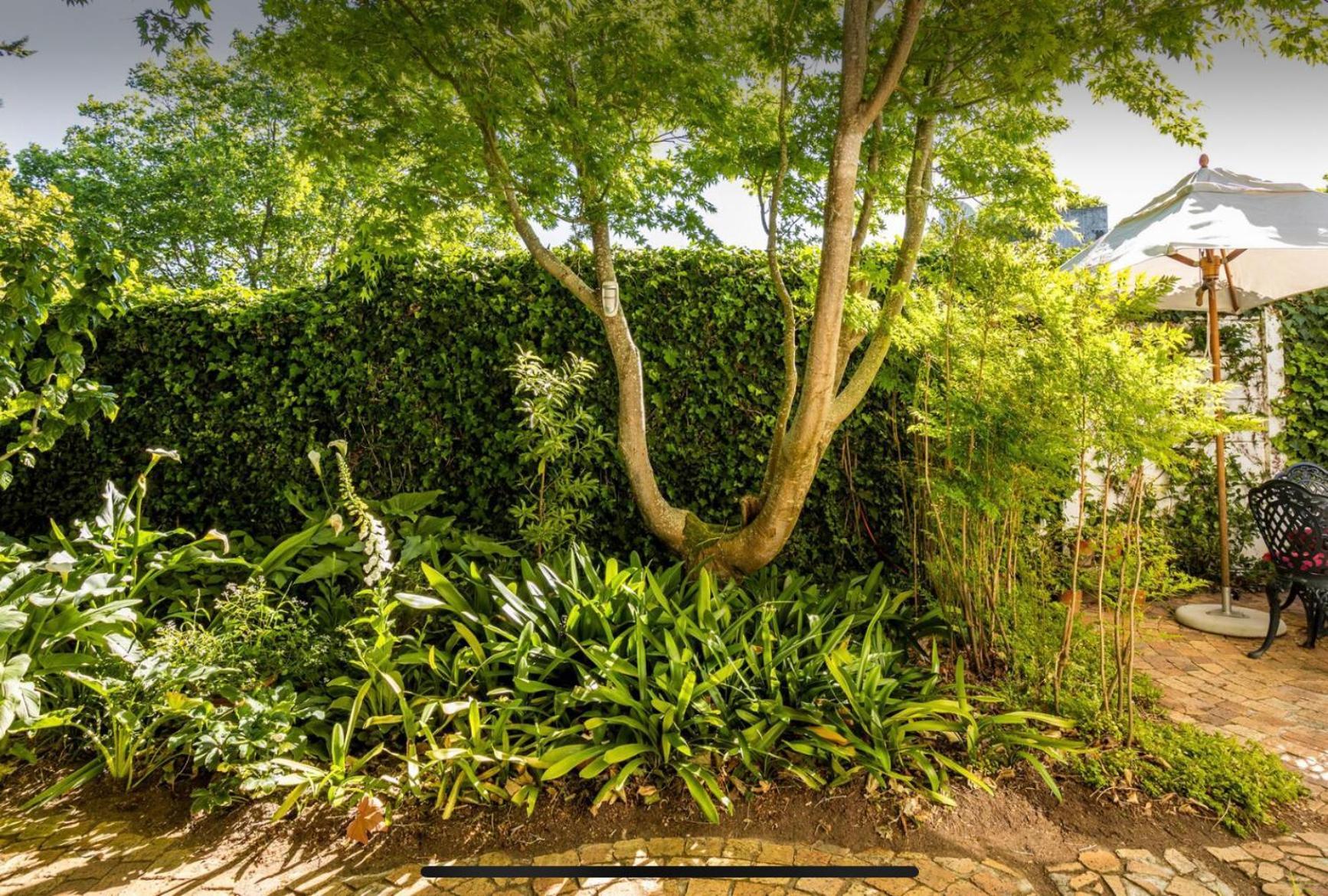 Guest Suite - Leafy Constantia Guest House Кейптаун Екстериор снимка